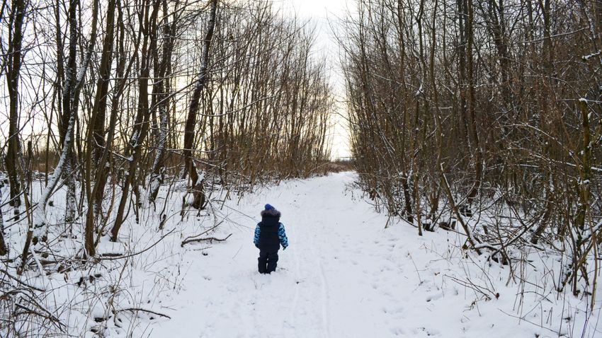 Hóevéssel élt túl két napot egy nyolcéves fiú