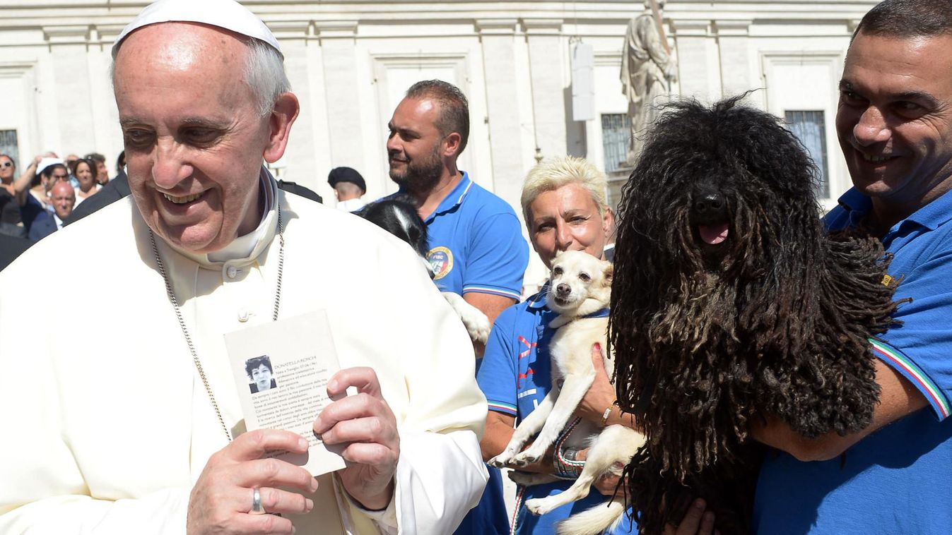 Ferenc pápa kifejezetten szereti az állatokat, minden év január 17-én Remete Szent Antal ünnepén az egyház megáldja a Szent Péter térre vitt házi kedvenceket. (Fotó: HuffPost / Twitter)