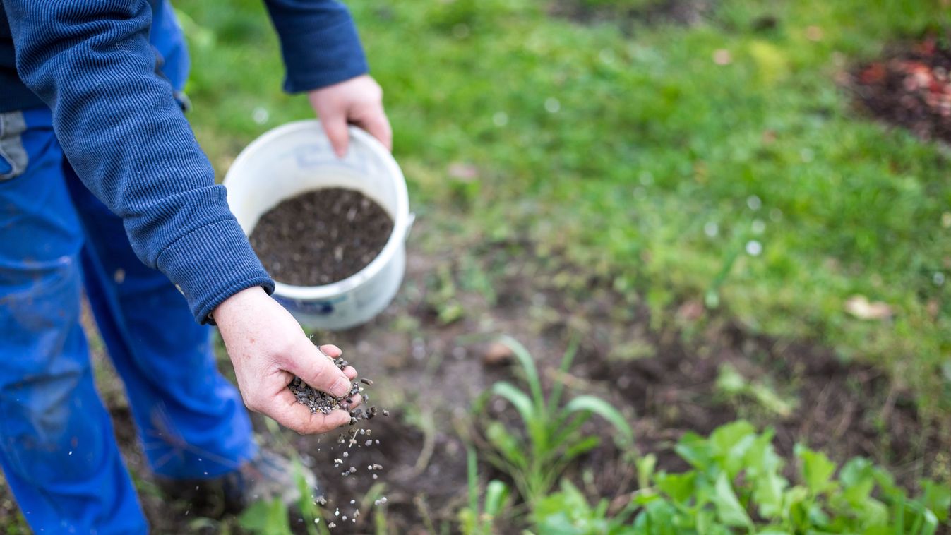 Fertilizing,The,Garden,By,Bio,Granular,Fertilizer,For,Better,Conditions
műtrágya