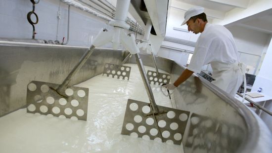 Olcsóbb tej Romániában – kötelező „önkéntességgel”