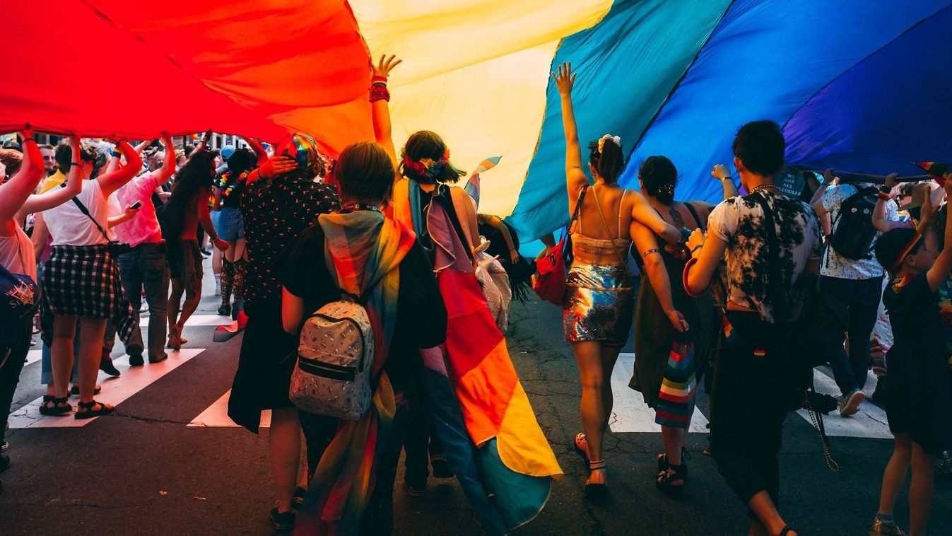 Az LMBTQ-közösség Pride (Büszkeség) felvonulása. (Fotó: SUNY Press / Twitter)