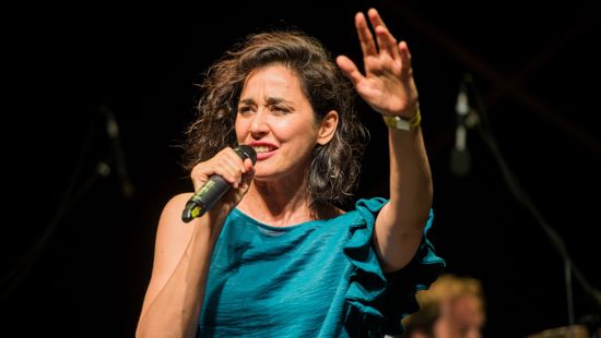 Gryllus Dorka csúnyán nekirontott a fideszes véleményvezérnek