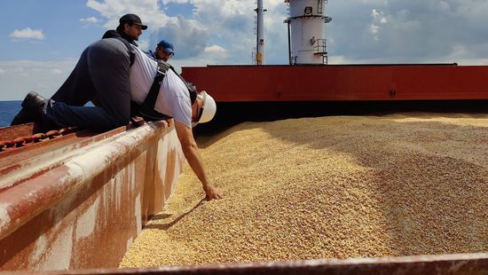 Őszig meghosszabbította Brüsszel az ukrán gabonára vonakozó importtilalmat