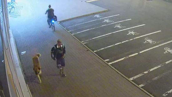 Ön felismeri ezt a férfit? Kutyája egy fiúra támadt + videó