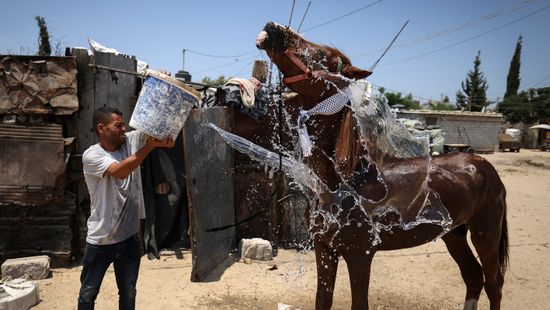Az extrém hőség miatt egyre nehezebb lesz élni a közel-keleti városokban