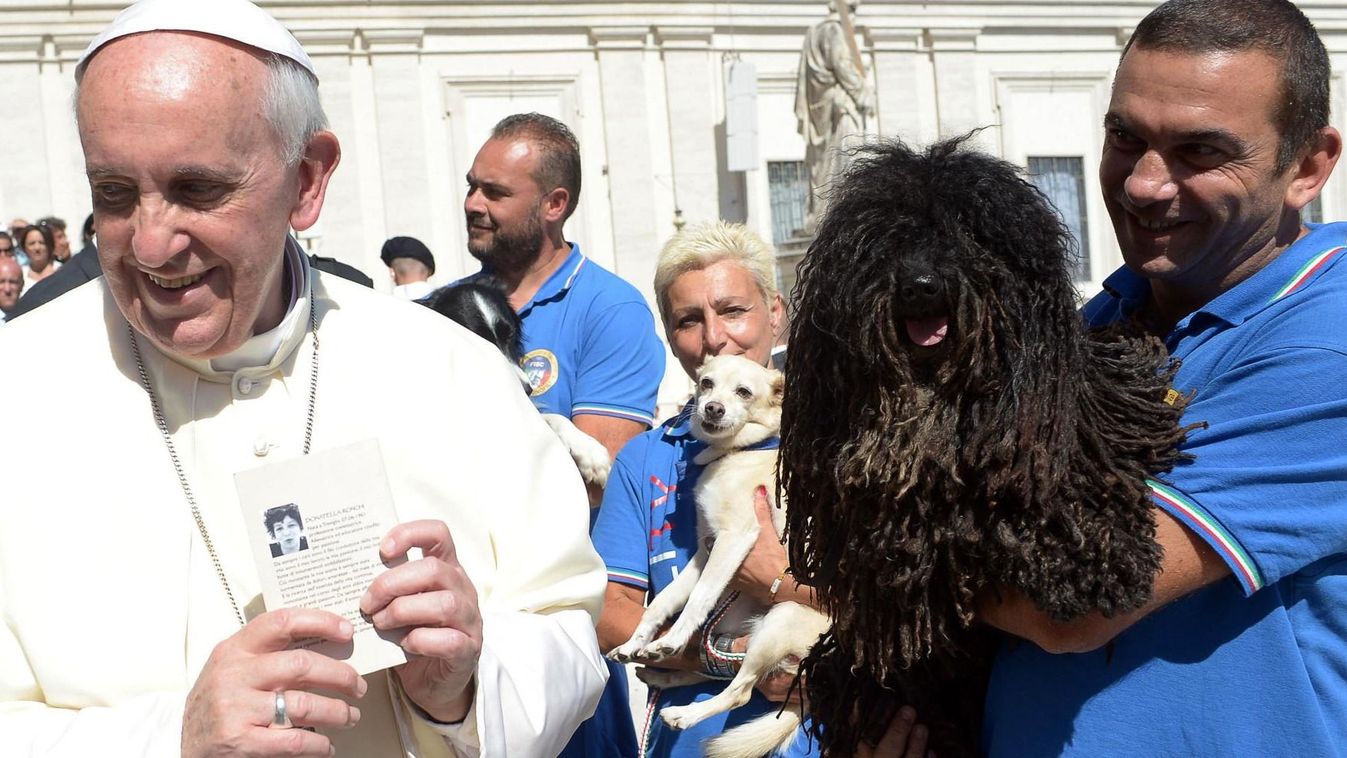 Ferenc pápa kifejezetten szereti az állatokat, minden év január 17-én Remete Szent Antal ünnepén az egyház megáldja a Szent Péter térre vitt házi kedvenceket. (Fotó: HuffPost / Twitter)