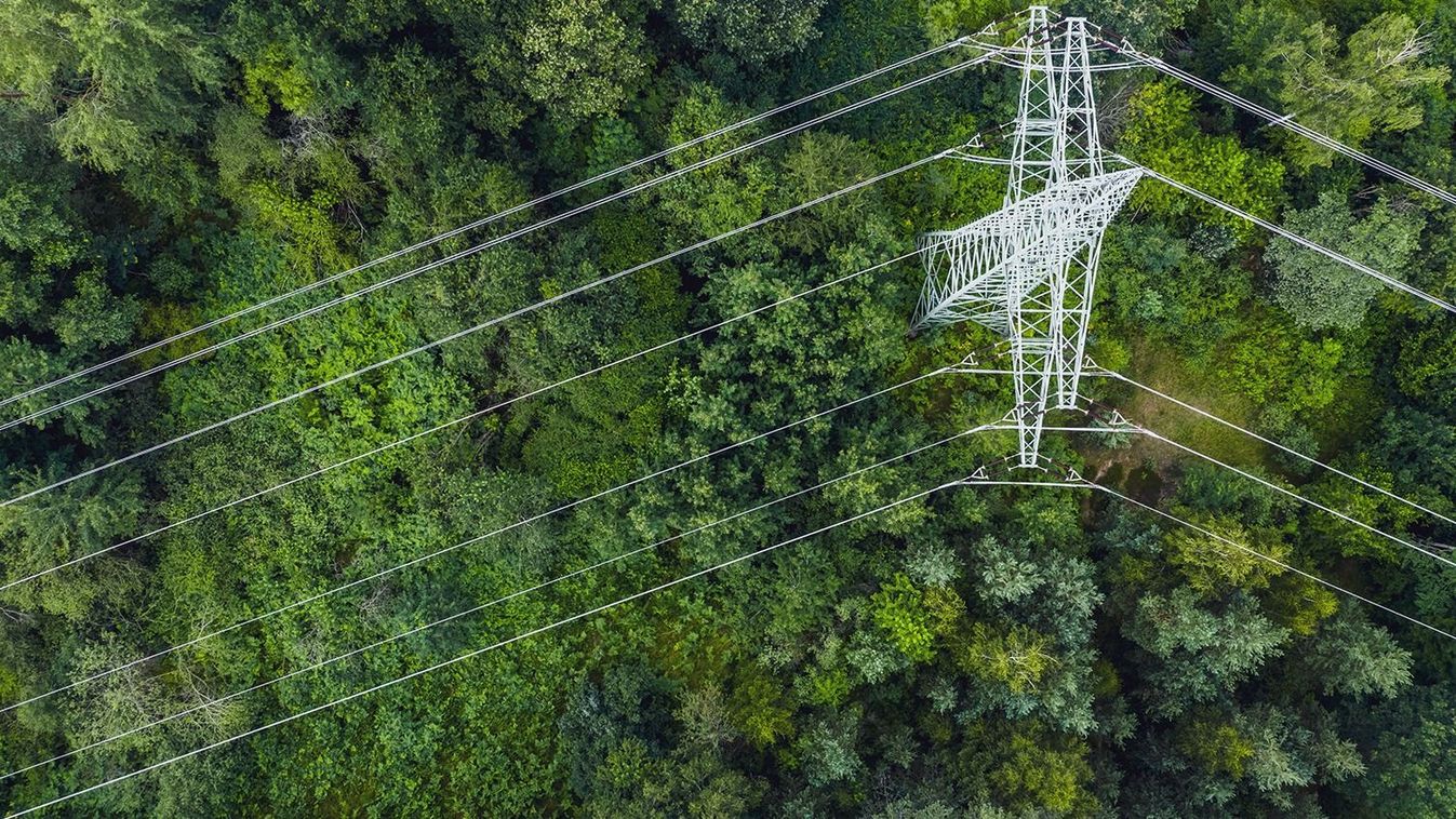 Aerial view of power lines leading through forest.