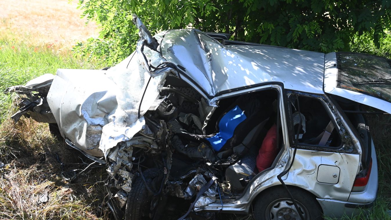 Fának csapódott autójával, és meghalt egy férfi Győr közelében