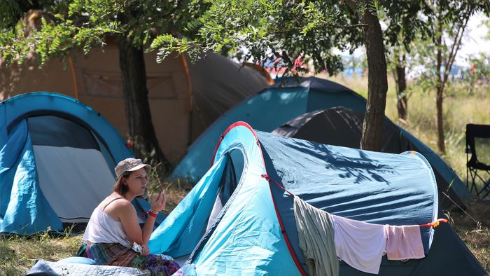 20230824 gomba gyuttment fesztival havran zoltan magyar nemzet