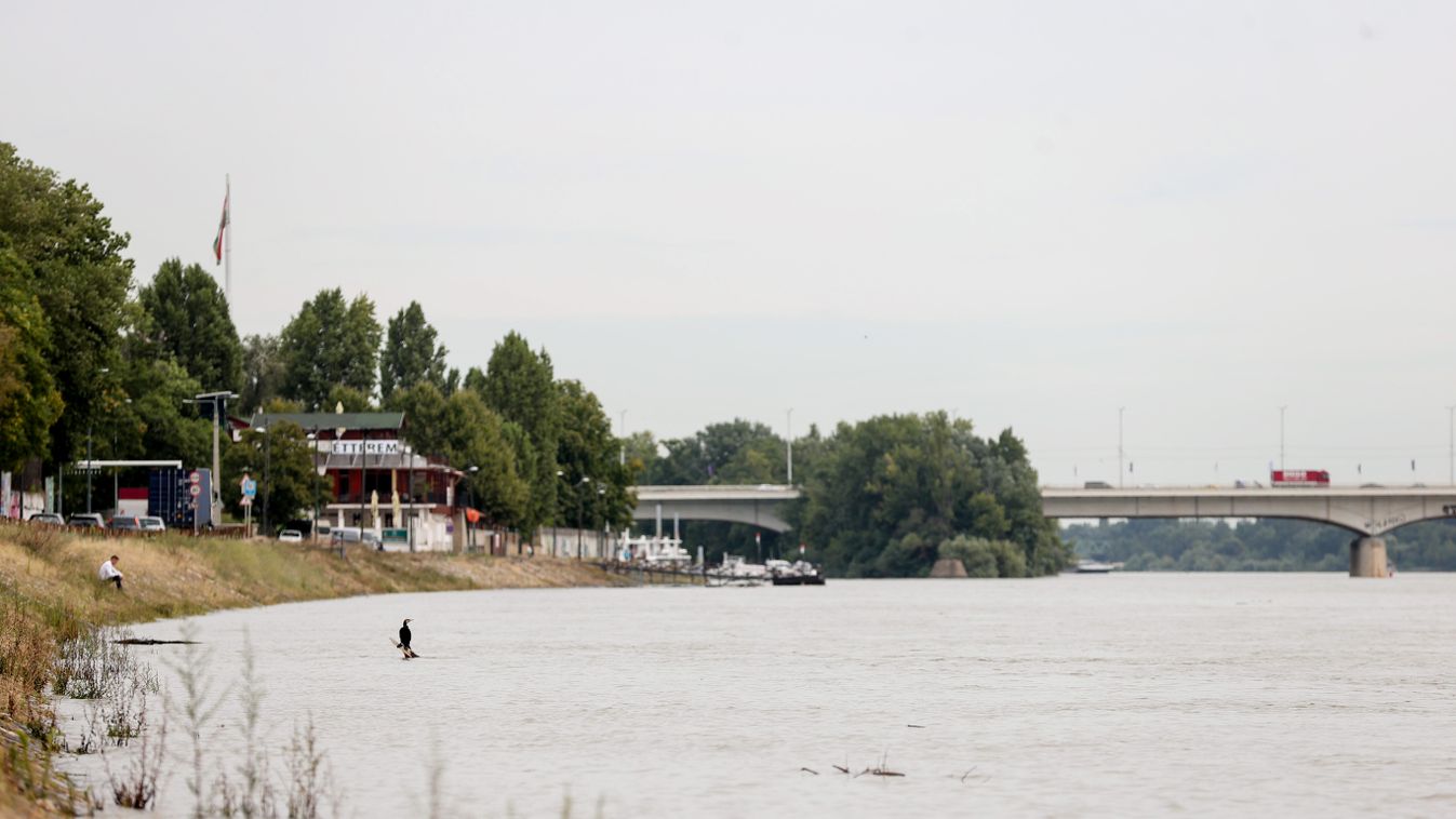 Duna áradása