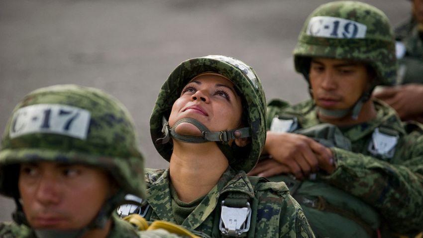 A mexikói földművesek szembeszálltak a drogkartellel