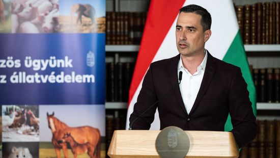Ovádi Péter: Sokszor a gyermekek edukálják a szülőket