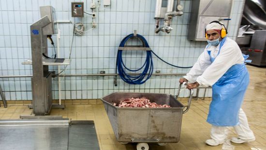 Azonnal bezártak egy csongrádi vágóhidat, több tonna húst kellett kivonni a forgalomból +videó