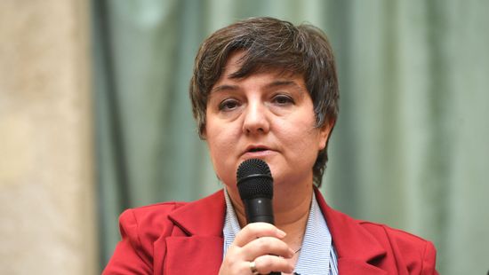 Felfüggeszthetik az I. kerület baloldali polgármesterét