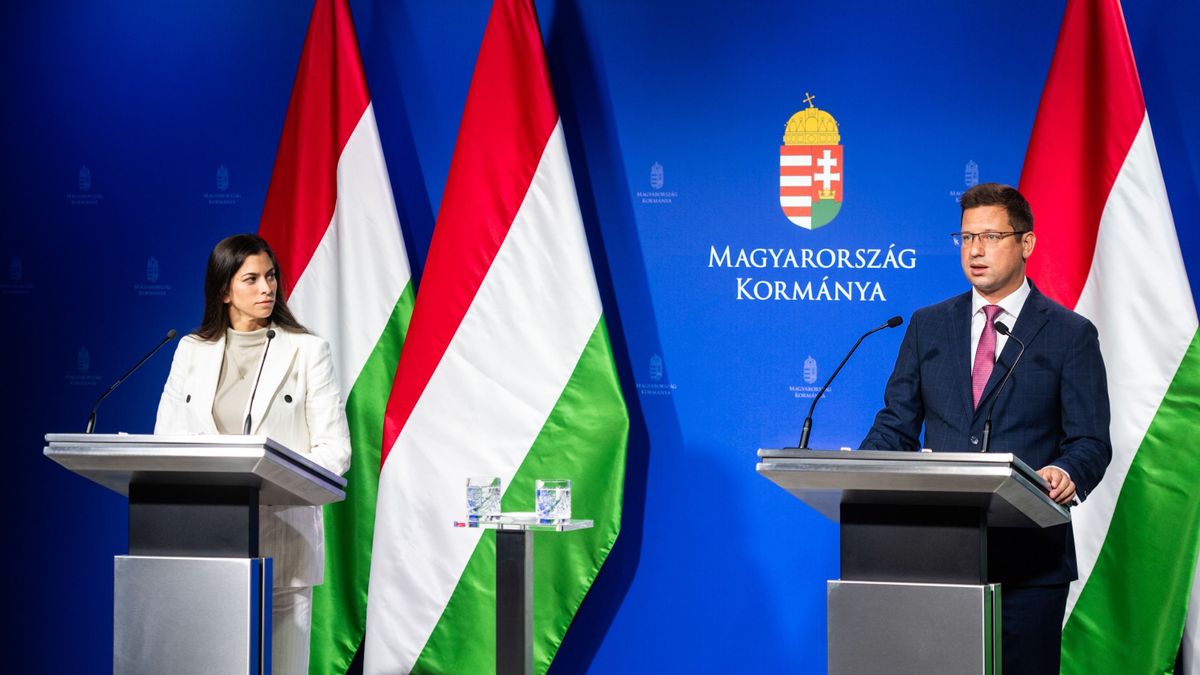 Gulyás Gergely arra kérte a Fidesz frakcióját, hogy fontolja meg döntését. 