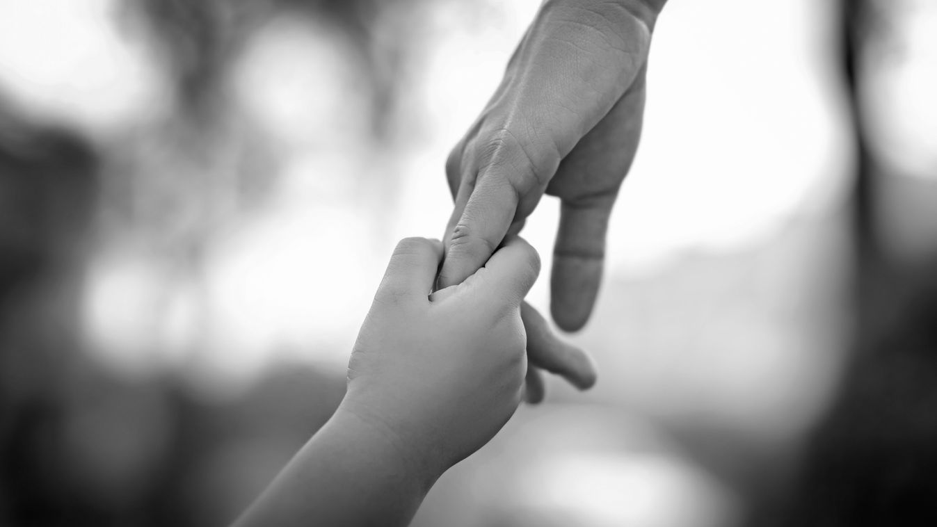 Parent,Holds,The,Hand,Of,A,Little,Child,On,Abstract, gyerek, kéz 