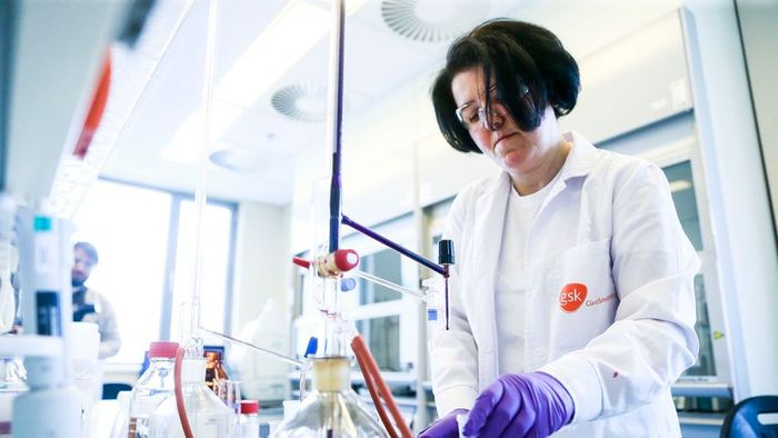 Innovációs támogatási program indul