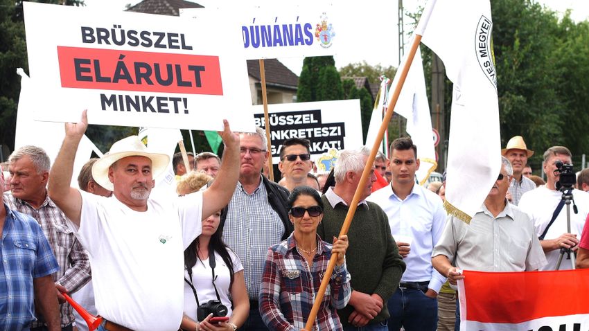 Farmers at demonstration: “We were deceived by the EU with Ukrainian grain”