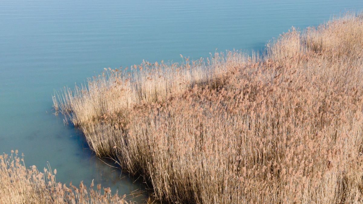 Holttestet találtak a Fertő-tóban