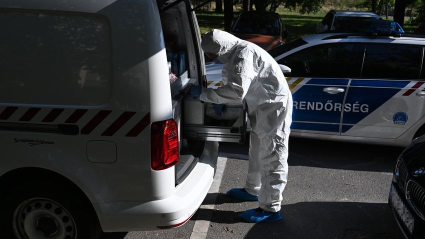 Holttestet találtak Újpesten, a polgármesteri hivatalnál