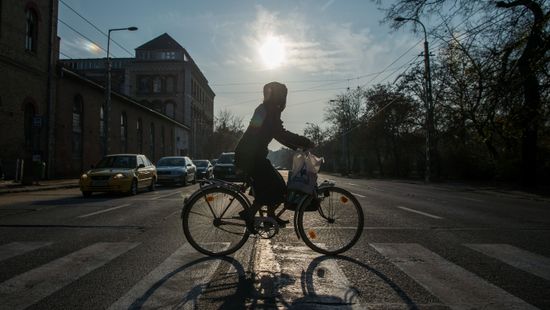 Sorban kopnak el a zebrák, de Karácsonyék biciklisávokra költik a pénzt + videó