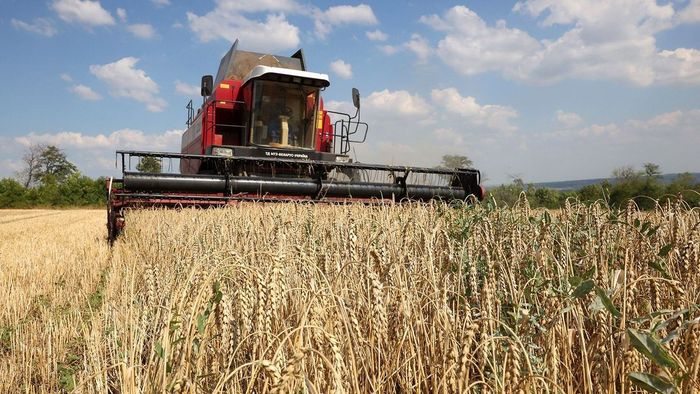 Kiderült, hogy mit gondol a magyar lakosság az ukrán gabonadömpingről