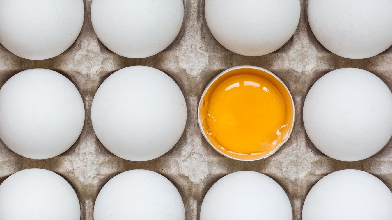 Chicken,Egg,Is,Half,Broken,Among,Other,Eggs, tojás, tyúktojás, Shutterstock, illusztráció 