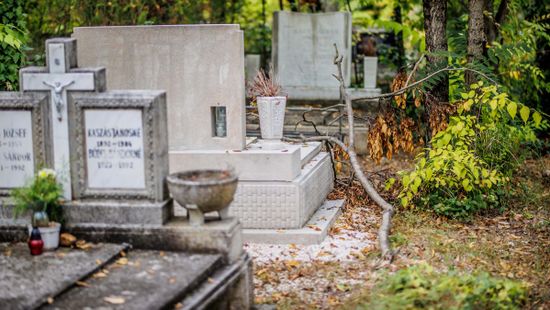 Életveszélyesek a temetők Budapesten + videó