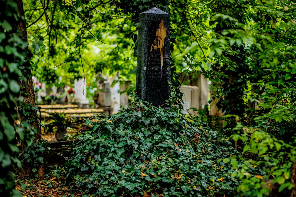 Budapest Új Köztemető temető