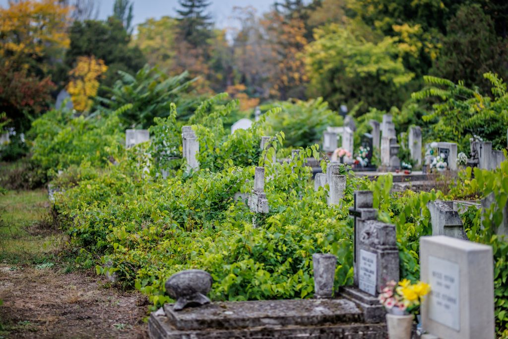 Budapest Új Köztemető temető
