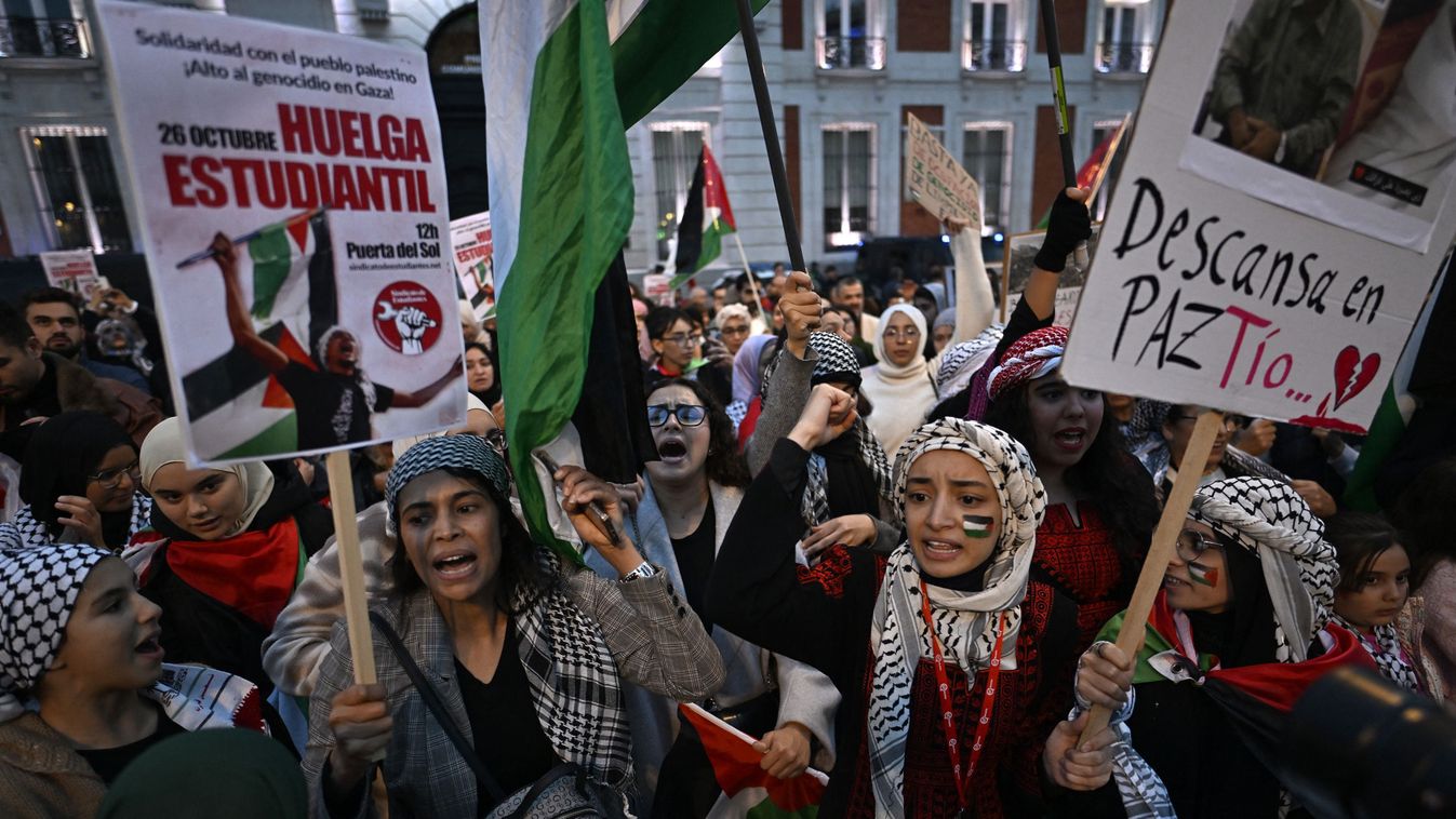 Pro-Palestinian demonstration in Madrid