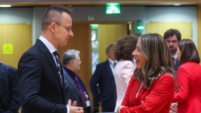 EU Colleagues Compliment Hungary FM, Here is Why