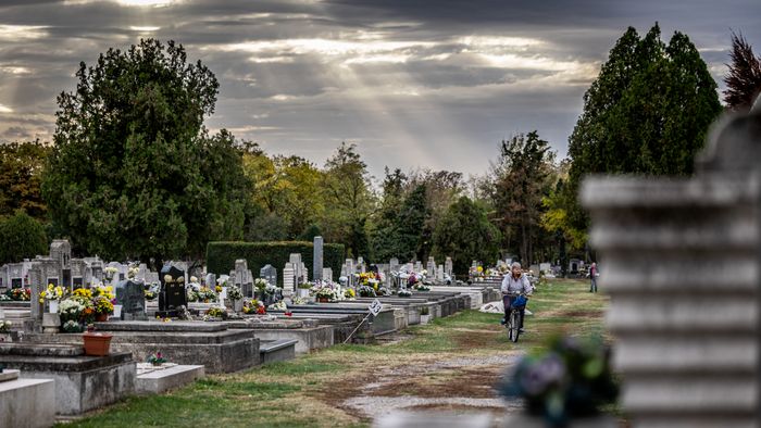 20231031 Békés Temető Halottak napján fotó Bencsik Ádám Békés Megyei Hírlap