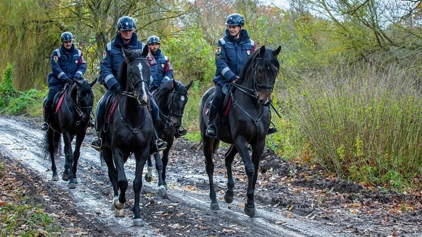 Lovas rendőrök lepték el a magyar erdőket