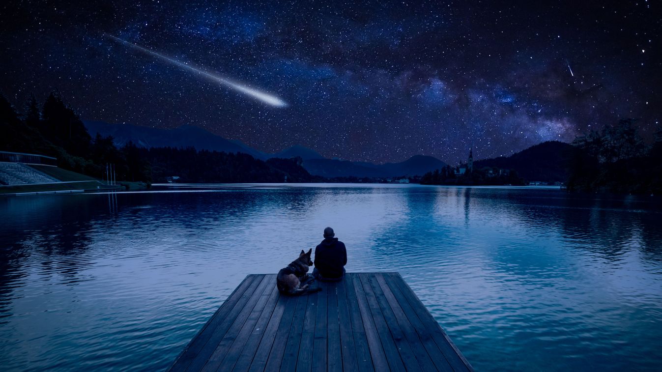 Man,With,Dog,Looking,At,Perseid,Meteor,Shower,At,Lake