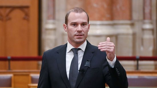 Hollik István: „Húsba vágó kérdések” lesznek a nemzeti konzultációban