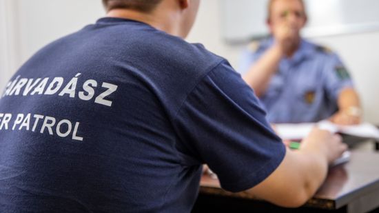 Elütötték az idős férfit, egy szolgálaton kívüli határvadász segített rajta