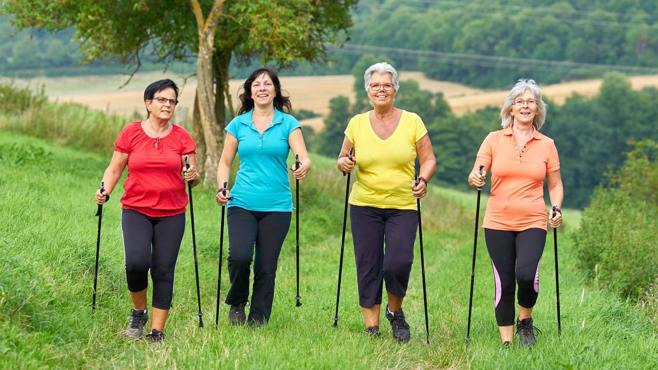 Sports,Outside,In,Nature,,Elderly,Woman,Nordic,Walking,Group