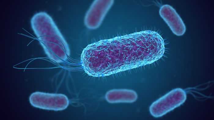 Az antibiotikum-rezisztencia leküzdését segítheti ez a felfedezés