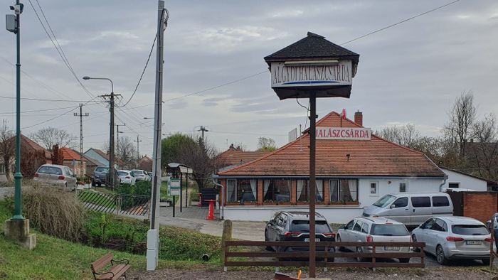 Dobogós halászlé Algyőn