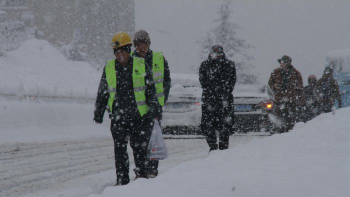 Blizzard hits Shandong