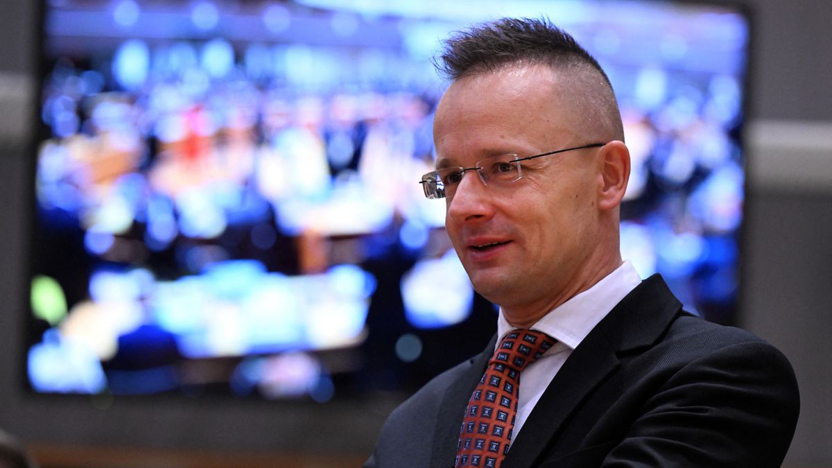 Hungary FM Sends Strong Message To Donald Tusk + Video