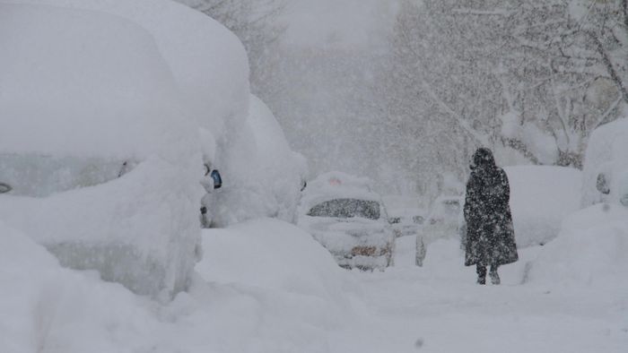 Blizzard hits Shandong