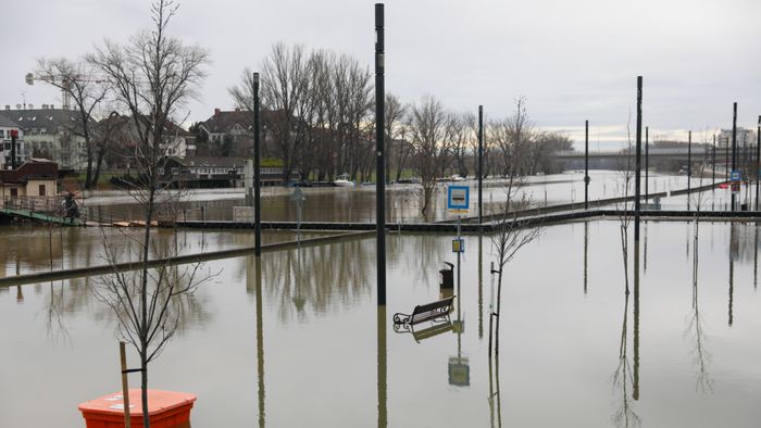 Győr Fotó: Kisalföld/Rákóczy Ádám