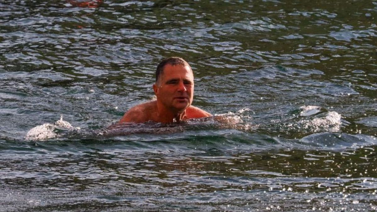 Ennyi volt, utoljára ússza át a Dunát a nemzet rozmárja