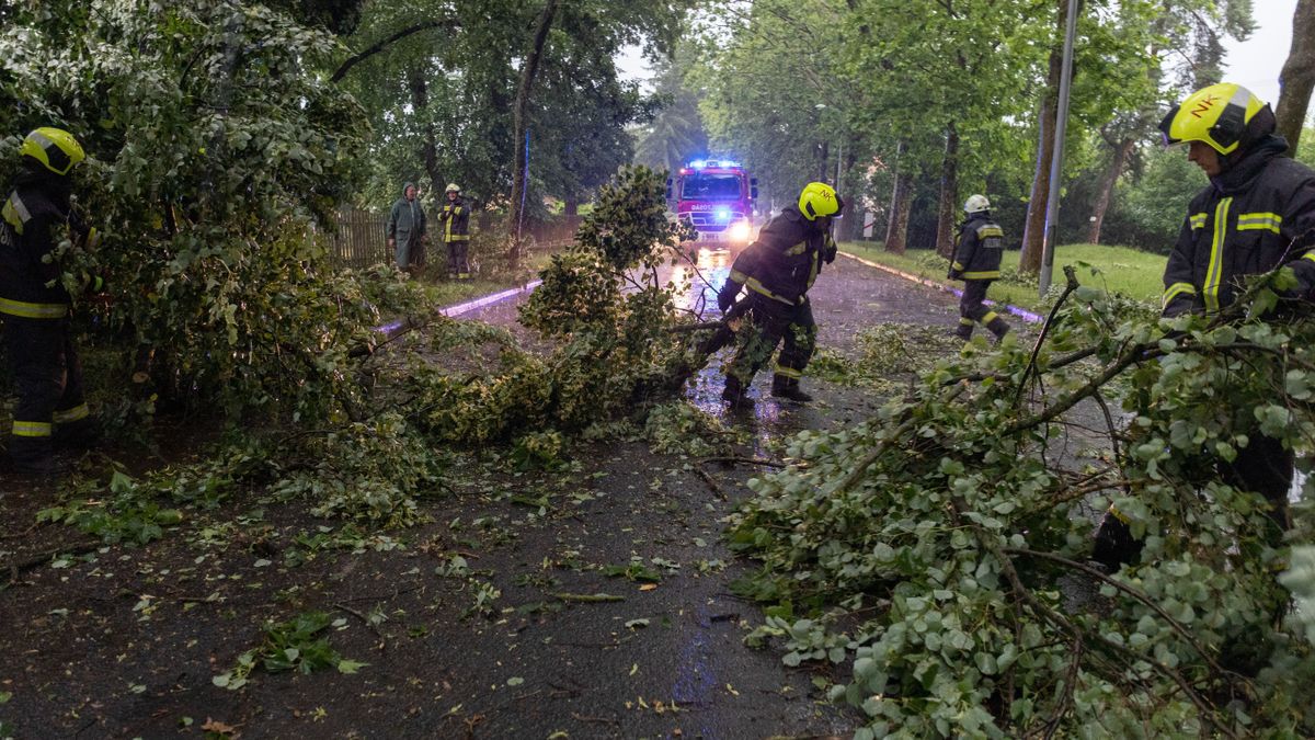 Ítéletidő tombolt Vasban, fákat döntött ki a viharos szél