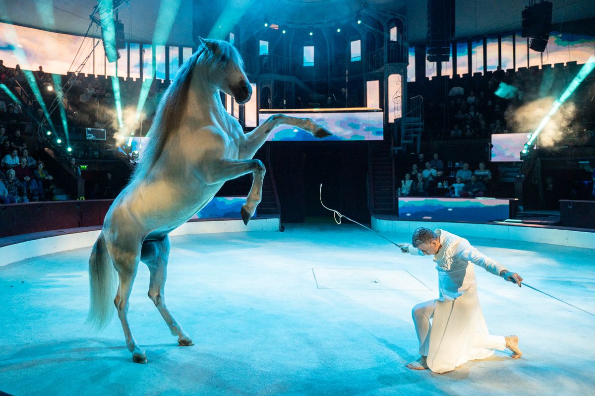 A XV. Budapest Nemzetközi Cirkuszfesztivál lovas produkciója