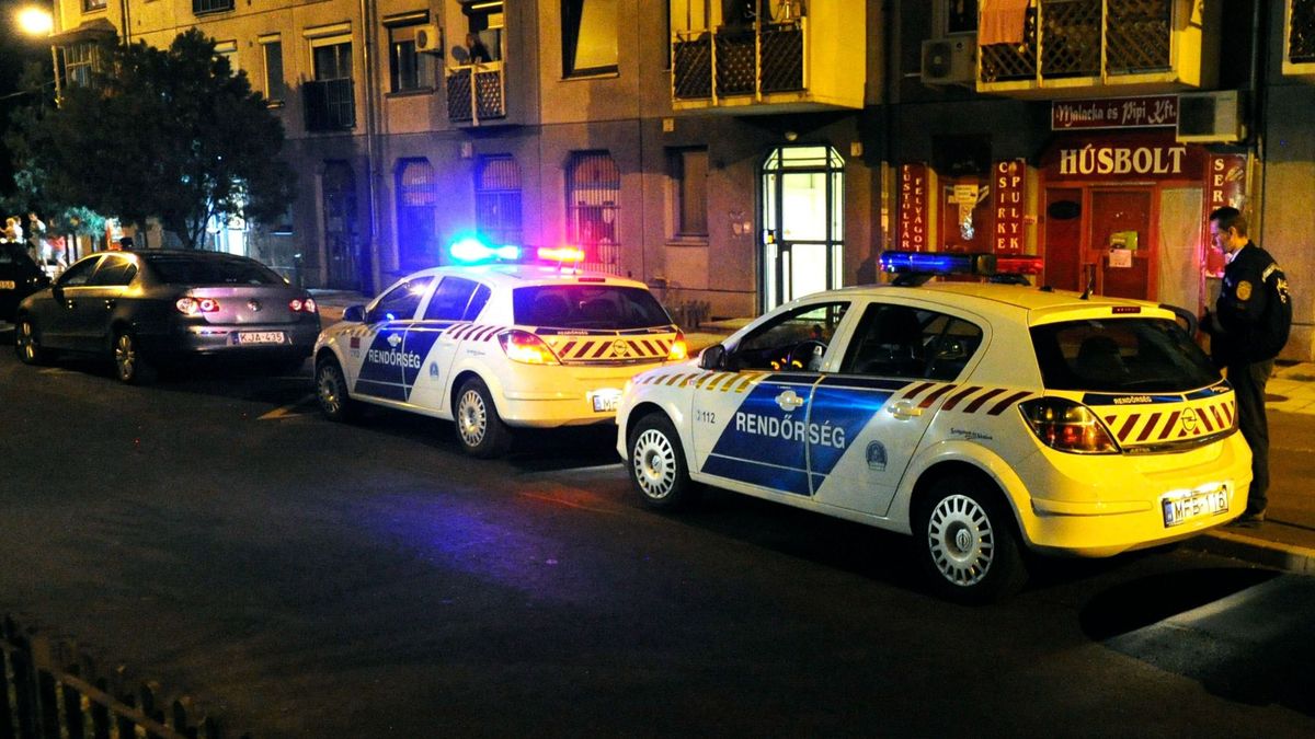 Nagy razzia volt a belvárosban, taxisok és körözött bűnözők is lebuktak + videó