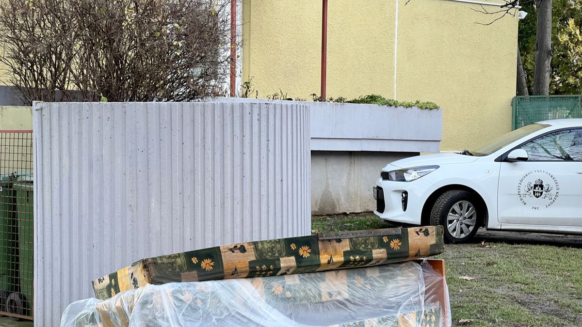A Karácsony által beköltöztetett hajléktalanok terjesztették el az ágyi poloskákat az idősotthonban