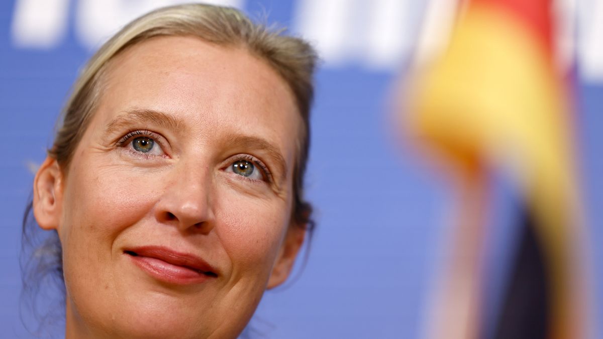 Összeomlott a plágiumvád a németországi AfD vezetője ellen